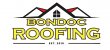 bondoc-roofing