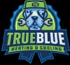 true-blue-heating-and-cooling