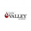 little-valley-academy