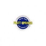 platt-springs-automotive-fleet-services