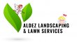 valdez-landscaping-lawn-services