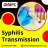 syphilis-transmission