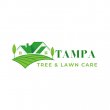 tampa-tree-lawn-care
