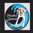 positive-splash-dog-training