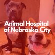 animal-hospital-of-nebraska-city