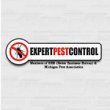 expert-pest-control