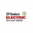 d-amico-electric