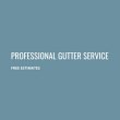 professional-gutter-service