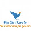 blue-bird-carrier