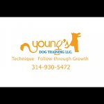 youngs-dog-training-llc