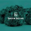 green-sativa