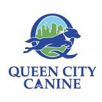 queen-city-canine