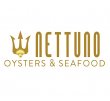nettuno-oysters-seafood