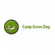 camp-green-dog-doggie-day