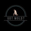 mold-testing-inspection-nc