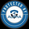 alpha-cameras-security