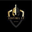 sentinel-executive-protection-group