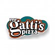 mr-gatti-s-pizza