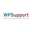 wp-support-and-maintenance