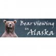 bear-viewing-in-alaska
