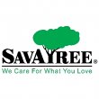 savatree---tree-service