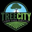tree-city-lawn-llc