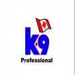 k-9-shop-professional-hrana-za-pse