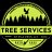 tree-services-by-pila-pro-s-llc