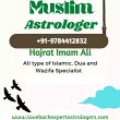 world-famous-muslim-astrologer