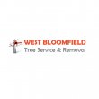 west-bloomfield-tree-service-removal