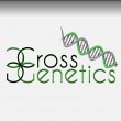 cross-genetics-dispensary