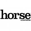 horse-illustrated