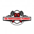 the-professional-plumber
