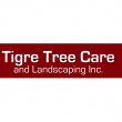 tigre-tree-care-and-landscaping-inc