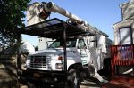 tree-service-removal-floral-park