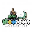 mowtown-lawn-care-llc