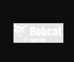 bobcat-of-cape-cod