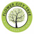 flower-city-tree