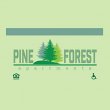 pine-forest