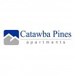 catawba-pines