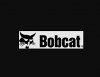 bobcat-of-the-finger-lakes