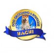 hachi-dog-grooming-and-boutique