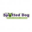 the-spotted-dog