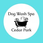 dog-wash-spa