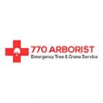 770-arborist-emergency-tree-crane-service