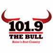 101-9-the-bull