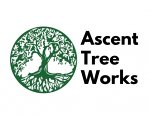 ascent-tree-works