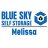 blue-sky-self-storage---melissa