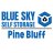 blue-sky-self-storage---pine-bluff