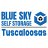 blue-sky-self-storage---tuscaloosa-main